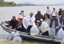 IMIPAS fortalece la restauración del Lago de Pátzcuaro con la repoblación de 50 mil ejemplares de acúmara